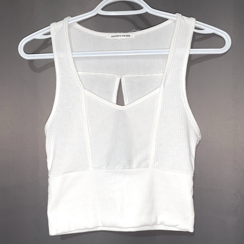 Caution to the wind crop top